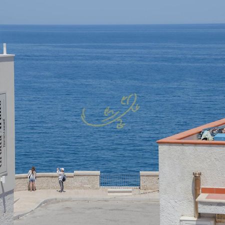 ポリニャーノ・ア・マーレ Td Casa Marevino Seaside Terrace With Panoramic Viewsヴィラ エクステリア 写真
